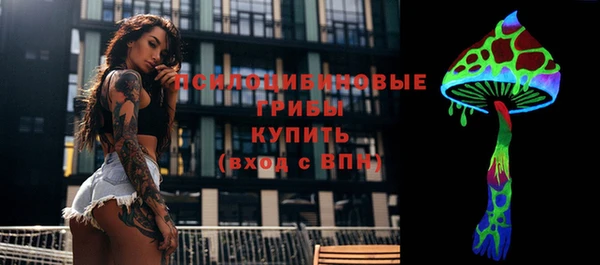 эйфоретик Михайловск