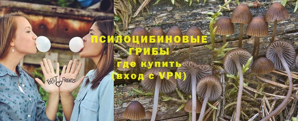 PSILOCYBIN Абинск