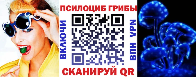 купить наркотики цена  Эртиль  площадка какой сайт  Псилоцибиновые грибы ЛСД 